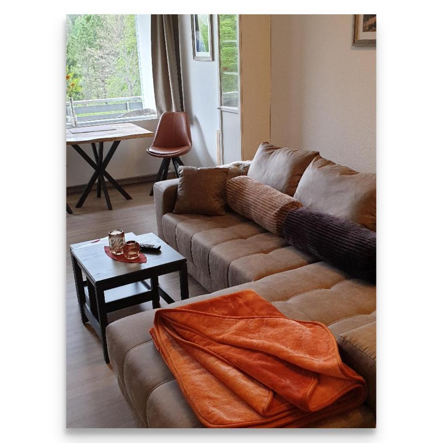 Harz Zeit Appartement Altenau  Buitenkant foto